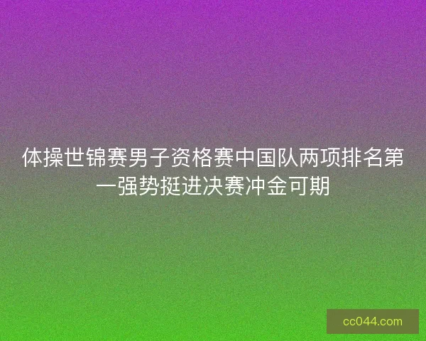 体操世锦赛男子资格赛中国队两项排名第一强势挺进决赛冲金可期